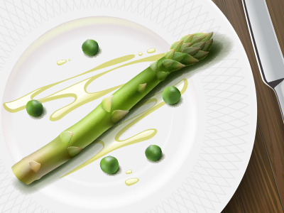 Asparagus. Vector illustration vector