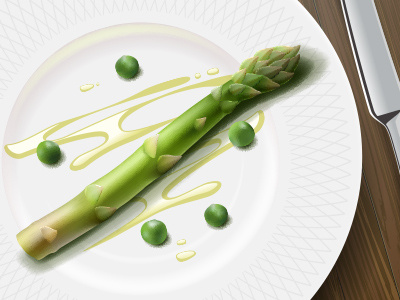 Asparagus. Vector illustration