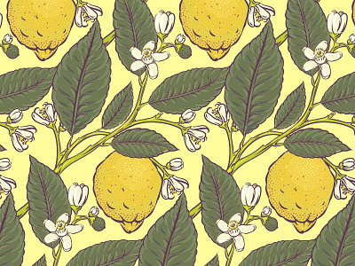 Citron Pattern citron illustration illustrator lemon masterskaya52 pattern process vector workinprogress