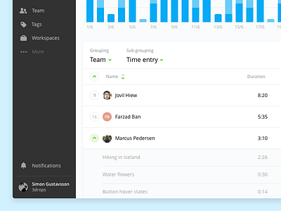 Summary Report avatar graph stats toggl