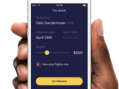 Trip Details flight ios iphone travel ui