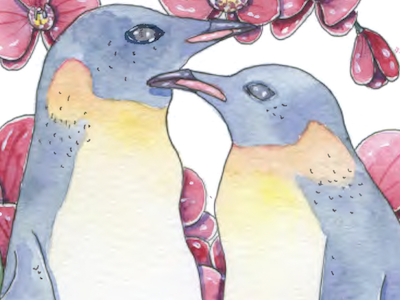 Penguins art bird fauna flora flower illustration illustrator orchid penguin traditional watercolor