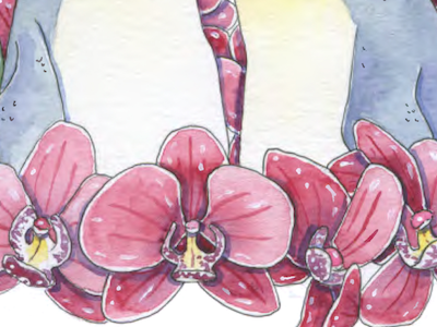 Orchids animal art fauna flora flower illustration illustrator orchid penguin traditional watercolor