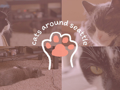 Cats Around Seattle cats cute kitten logo paw pets seattle soft video washington
