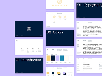 Terraceutics - Brand Guidelines