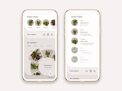 Take care of your plants! app design expanding tabs feeds mobile app plants reminders spinner tabs