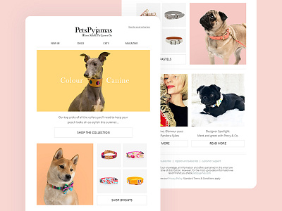 PetsPyjamas Newsletter design email