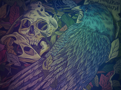 Corvus art illustration