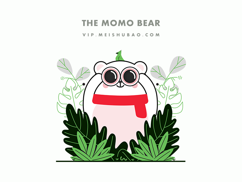 momo teddy bear