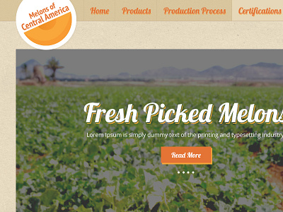 Melons Of Central America Website Design