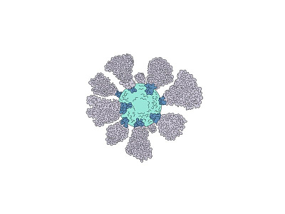 Coronavirus Cell Miscroscopic Line Drawing cell coronavirus crowns cryo electron line drawing microscopic microscopy spikes structure virus