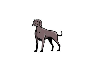 Weimaraner Dog Breed Mascot