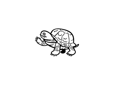 Eastern Box Turtle Waving Black and White