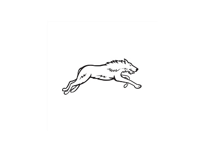 Scottish Deerhound Side Black and White canid canine deerhound dog domestic dog hound hunting mascot run running