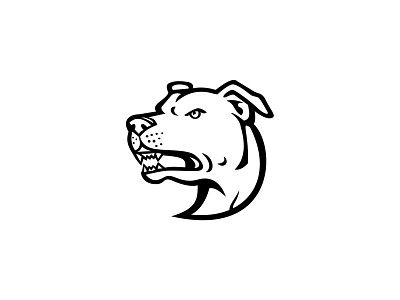 American Staffordshire Terrier Head Mascot Black and White