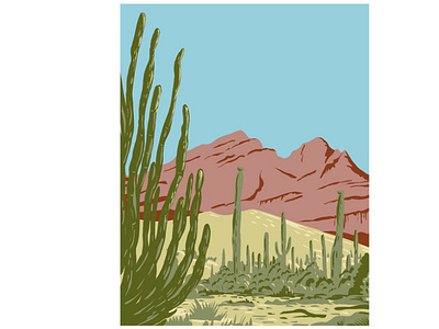 Organ Pipe Cactus National Monument WPA biosphere reserve desert flora forest mountain range mountainous section national monument saguaro cactus scenery wpa