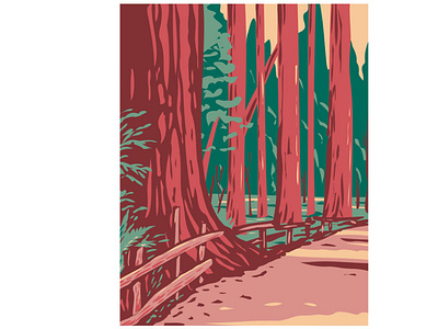 Avenue of Giants Redwood National Park WPA