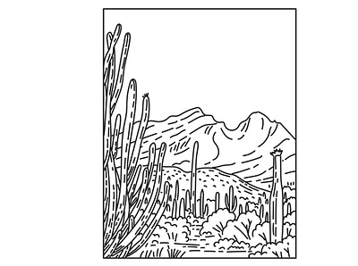 Organ Pipe Cactus National Monument Sonoran Desert Mono Line Art scenery