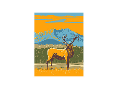 Elk or Wapiti in the Rocky Mountain National Park WPA mountain