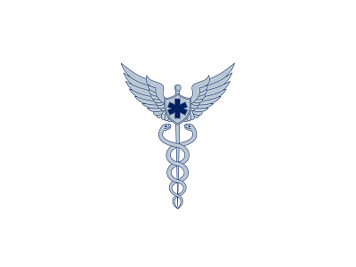 Caduceus With Pilot Wings EMT Star Icon by Aloysius Patrimonio on Dribbble