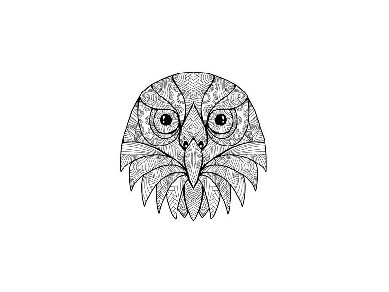 ninox templates