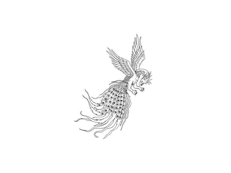 Simorgh flying dwg eps10