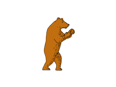 Brown Bear Boxing Stance Drawing animal boxer boxing brown bear drawing fighter gloves grizzly sport stance wearing
