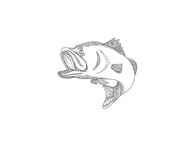 Barramundi Jumping Doodle Art