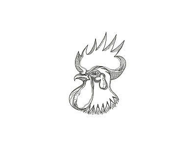 Junglefowl Head Doodle Art chicken cockerel doodle fowl gallus gallus domesticus head male male gallinaceous bird poultry rooster