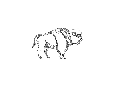 American Buffalo Doodle Art american bison american buffalo bison bison americanus bos americanus bos bison buffalo doodle