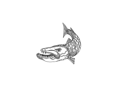 Barracuda Fish Doodle Art barracuda doodle doodling mandala ray finned fish saltwater fish sphyraena sphyraenidae