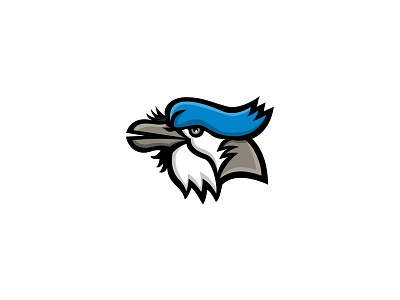 Blue Jays designs, themes, templates and downloadable graphic elements on  Dribbble