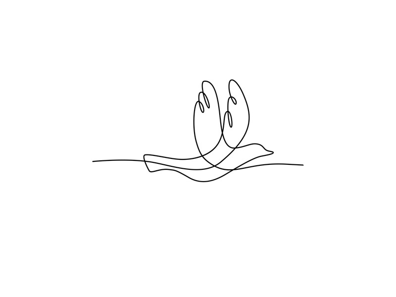 Bird Flying Continuous Line line-weight single thickness wire-look unbroken line drawing monoline mono-weight beak endothermic vertebrates avian dinosaurs aves feather side wing flight flying dove bird mono line continuous line