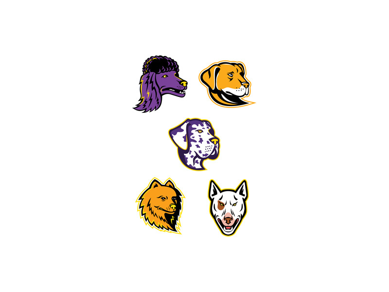 Dog Heads Mascot Collection retro icon head animal pit bull pitbull terrier pet toy poodle miniature poodle retriever-gun dog spitz type bull terrier labrador retriever great dane pomeranian poodle dog canine mascot