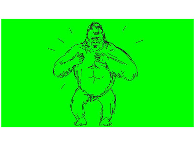 Silverback Gorilla Beating Chest Drawing 2D Animation 2d animation animation ape beating chest eastern gorillas front gorilla hd herbivorous ape high definition knuckles monkey motion graphics primate silver back silverback gorilla simian thumping western gorillas