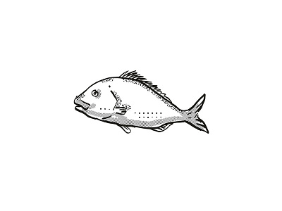 Snapper New Zealand Fish Cartoon Retro Drawing artwork black and white cartoon dots drawing fish graphic half tone dots hand drawing isolated line drawing marine life retro shading side view sketch snapper species white
