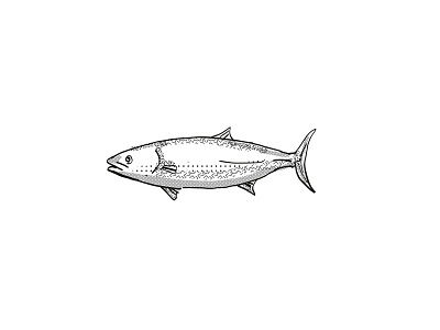 Kingfish New Zealand Fish Cartoon Retro Drawing