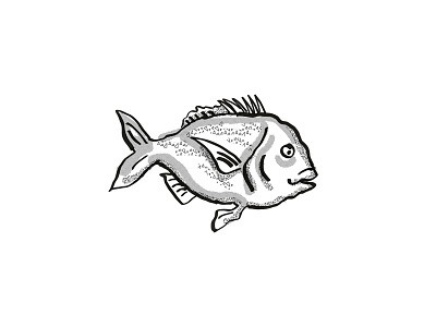 Snapper New Zealand Fish Cartoon Retro Drawing artwork black and white cartoon dots drawing fish graphic half tone dots hand drawing isolated line drawing marine life retro shading side view sketch snapper species white