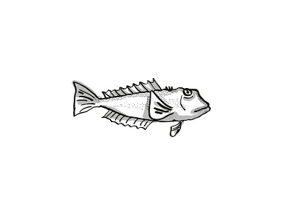 Blue Cod New Zealand Fish Cartoon Retro Drawing artwork black and white blue cod cartoon cod fish dots drawing fish graphic half tone dots hand drawing isolated line drawing marine life retro side view sketch species white