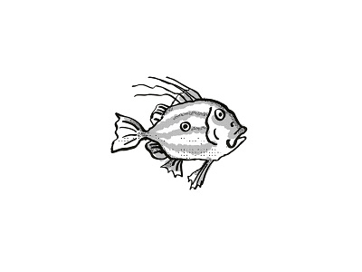 John Dory New Zealand Fish Cartoon Retro Drawing artwork black and white cartoon dory dots drawing fish graphic half tone dots hand drawing isolated john dory line drawing marine life retro side view sketch species white