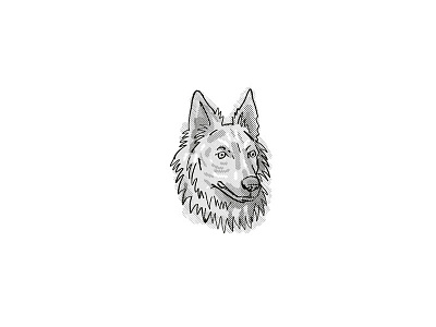 Dutch Shepherd  Dog Breed Cartoon Retro Drawing