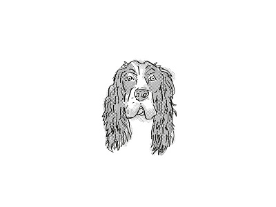 English Cocker Spaniel Dog Breed Cartoon Retro Drawing