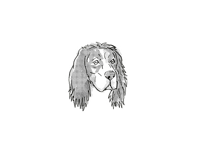 English Setter Dog Breed Cartoon Retro Drawing animal breed canine cartoon dog domestic dog drawing english setter head hound isolated mammal mongrel pet puppy retro species watchdog white working