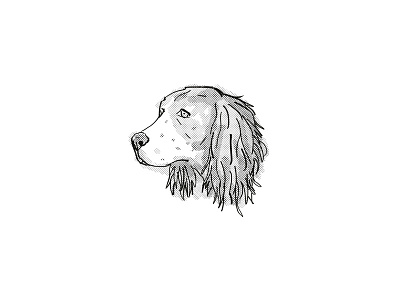 English Springer Spaniel Dog Breed Cartoon Retro Drawing
