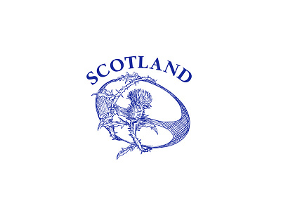 Rugby Ball With Thistle Scotland Drawing ball drawing flower rugby rugby union scotch thistle scotland thistle thistles vine