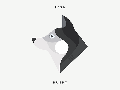 Husky animal clean dog dogs flat husky illustration monochrome pet pets swiss vector