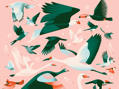 Above the Sky animal bird collage crane crow dove eagle flat flying gradient illustration pastel pattern pigeon seagull sparrow swan texture toucan vector