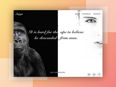 Ape VS Human ios photography photostudio ux whitespacedesign
