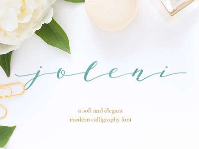 joleni | modern calligraphy font calligraphy calligraphy font elegant feminine font handlettered font international modern calligraphy typeface wedding