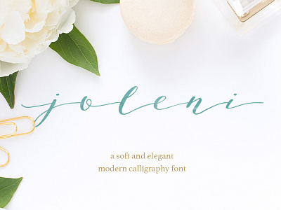 joleni | modern calligraphy font